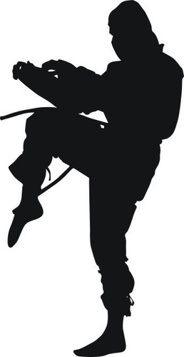 Nin8 ninja aufkleber - ,