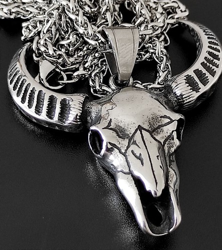 Büffel tier totenkopf skull - tier,