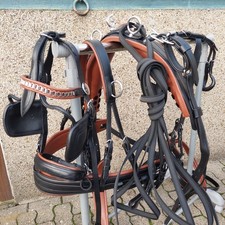 Top  Einspänner Leder