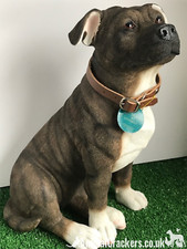 Xtra groß 26cm brown - groß, staffy
