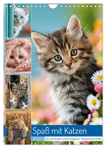 Spaß mit katzen wandkalender - katzen, (wandkalender