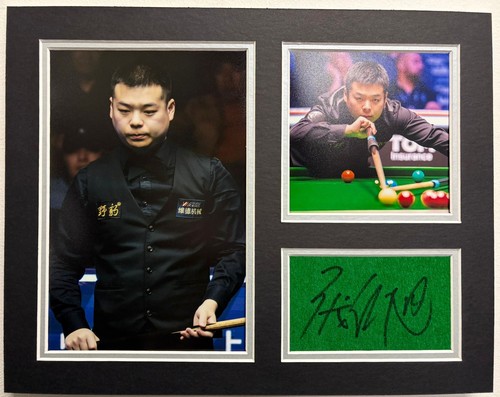 Profi snooker spieler pang - snooker,