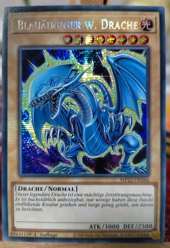 Blauäugiger drache - drache,