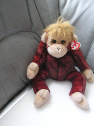 Plüschtier beanie buddy - ty,