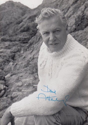 David attenborough 13x18 - david,