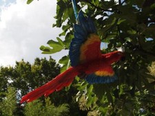 Ara Papagei Deko Figur