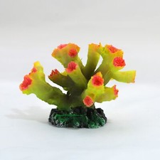 Nano Pilz-Lederkoralle, 7 x 5
