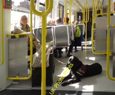 Foto 6x4 Hörhund für