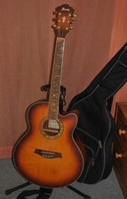 Ibanez AEL 40 SE RVV 1201