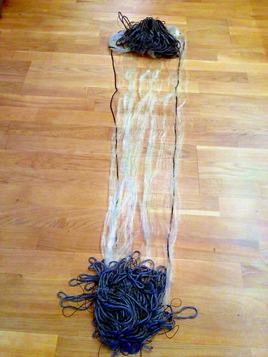 Stellnetz,Fischnetz,Spiegelnet