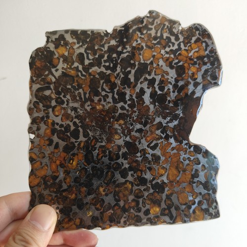 Sericho pallasit meteorit - sericho,