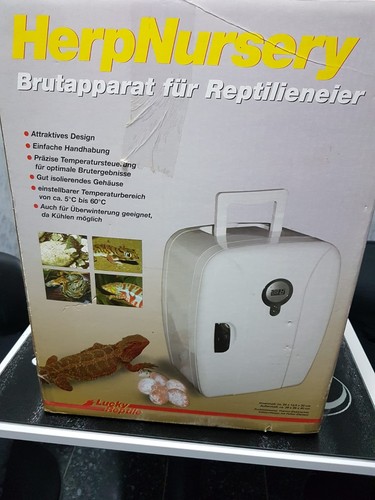 Lucky reptile herpnursery - reptile,