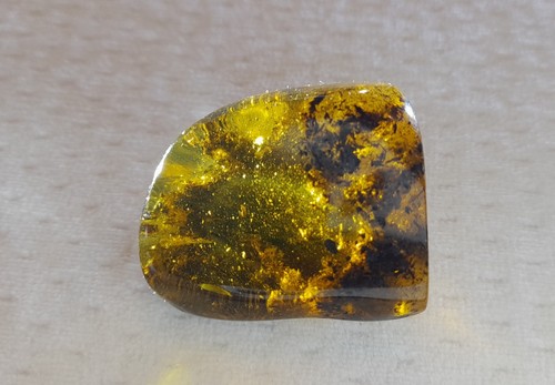 Aus sammlung baltisch - aus,