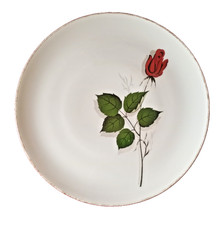 Große Porzellan Teller- Winterling Marktleuthen Bavaria Ø 29,5 cm