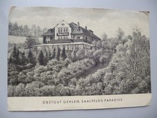 AK ,Saalfeld Saale Obstgut Gehlen Paradies