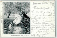 39282039 - Klapperstorch Baby Dessin No. 233 Storch 1899