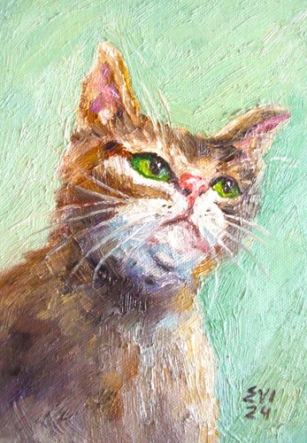 Ingwer katze mit grünen - ingwer, augen