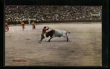 Banderillas, Torero beim