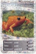 Netto     Ozeanien 2        "