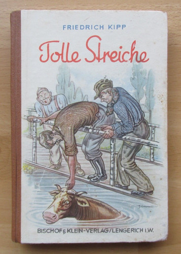 Buch tolle streiche - buch,
