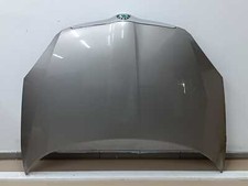 Motorhaube Farbe Ausgebrannt