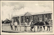 Ak Ostpreußen, Soldatenheim Schemo, Pferde, Frauen - 3573352