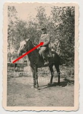 118549: Portraitfoto, Offizier