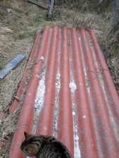 Eternit Wellplatten 10 Stück