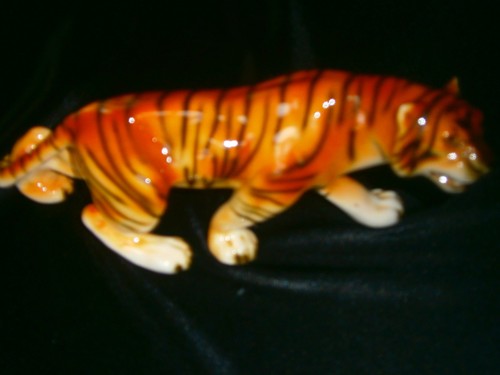 älterer tiger von - älterer,