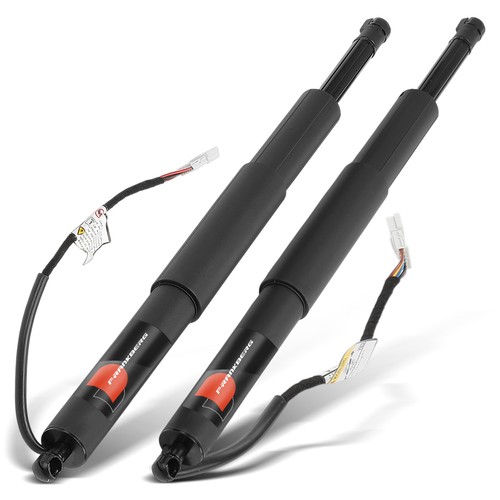 Gasfeder powerlift - 2x,