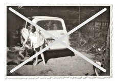 DDR Oldtimer original Foto privat Echtfoto Wartburg 312 Camping (Kombi) 07/08