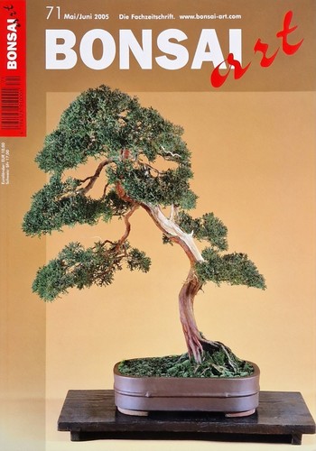 Bonsai art - art,