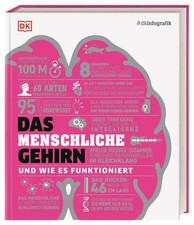 dkinfografik. Das menschliche Gehirn und wie es funktioniert | Collin (u. a.)
