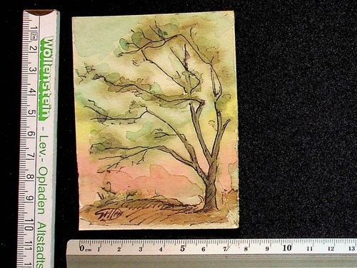 Hans goller miniatur - goller,