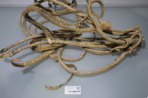 Seilhalfter mit vier knoten - seilhalfter,