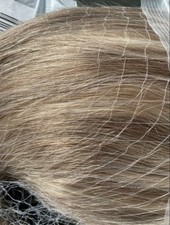 Highlight  Brown Platinblond