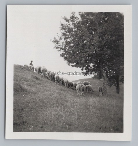 Gößweinstein 1937 schäfer - gößweinstein,