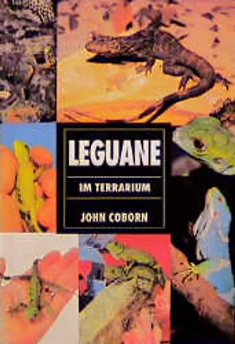 Leguane terrarium john - terrarium,