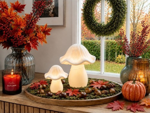 Led porzellan pilz herbst - ♥,