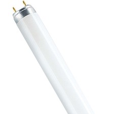 Osram Lumilux T8