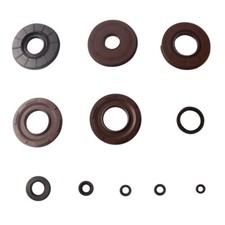 Motor Simmeringe Satz Motor