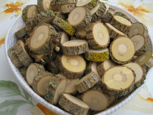 100 holzscheiben astscheiben - holzscheiben,