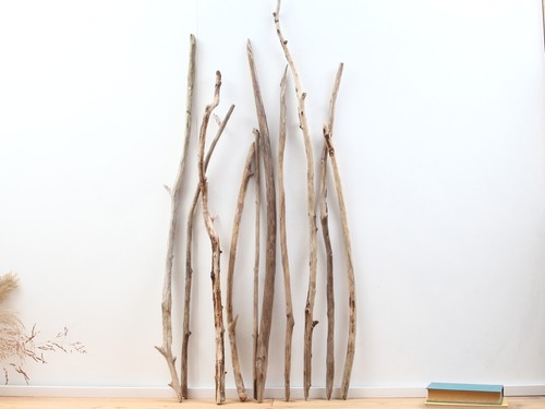 117cm treibholz äste - 74-117cm,