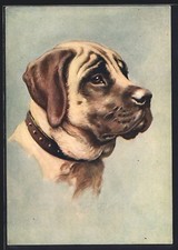 Ansichtskarte The Mastiff