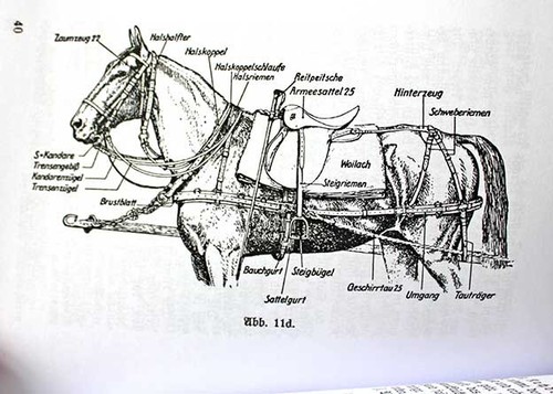465 5 kutsche fuhrwerk - 465/5,