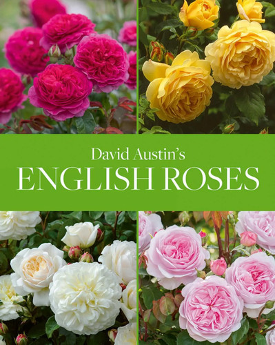 David austin english roses - austin's,