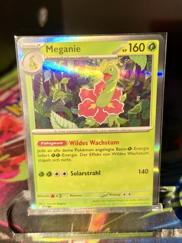 Pokemon meganie 010 132 - pokemon, meganie,