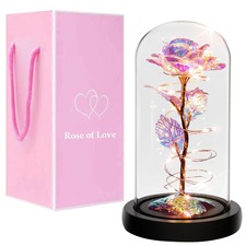 LED Ewige Rose im Glas für