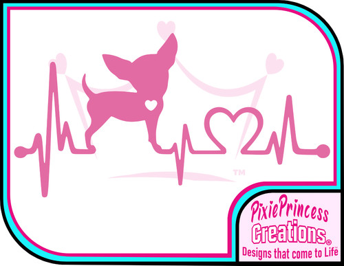 Hund mit liebe - hund, chihuahua