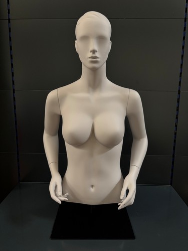 Mannequin schaufensterpuppe - mannequin,